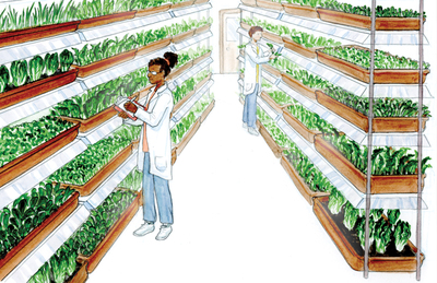 Vertical Farming Market  Growth Analysis and Forecast 2023-2028