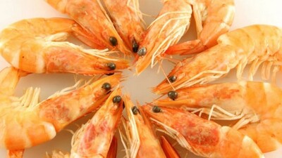 Europe Shrimp Market Size, Growth, Industry Report 2023-2028