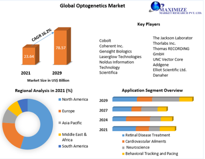 Optogenetics Market Demand, Sales, Consumption and Forecasts  