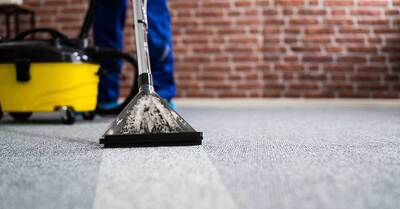 The Key to Clean, Healthy Homes: Professional Carpet Cleaning