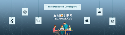 Hire Dedicated Developers: Anques Technolab