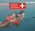 American Lifeguard Association | Lifeguard Training Certificatio