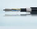 Armoured Cable vs Unarmoured Cable: Proper Guide for Di...