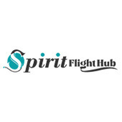 How can I make a group travel with Spirit Airlines?